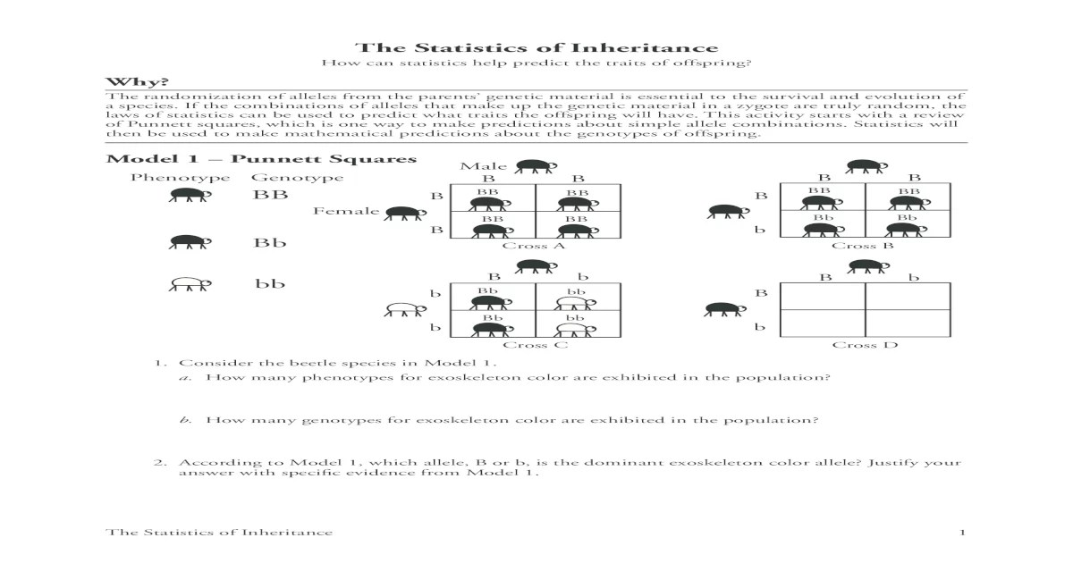 The statistics of inheritance pogil answers