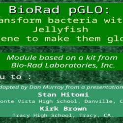 Bio rad pglo transformation manual