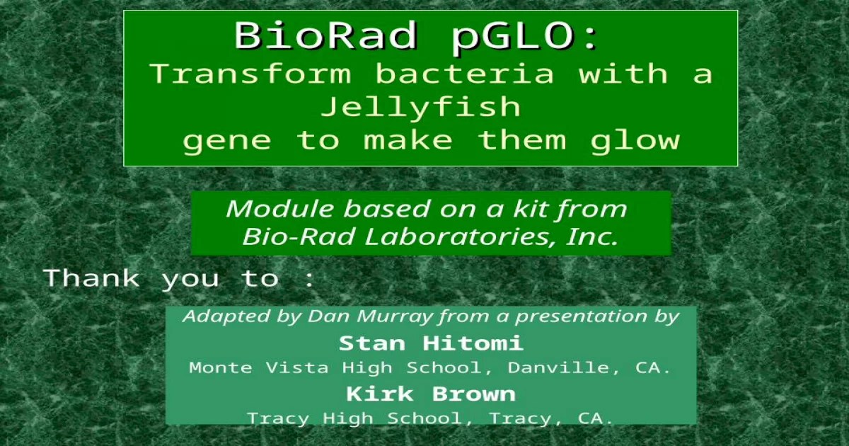 Bio rad pglo transformation manual