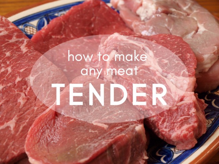 Tenderloin beef tender steak