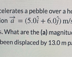 A moderate wind accelerates a pebble