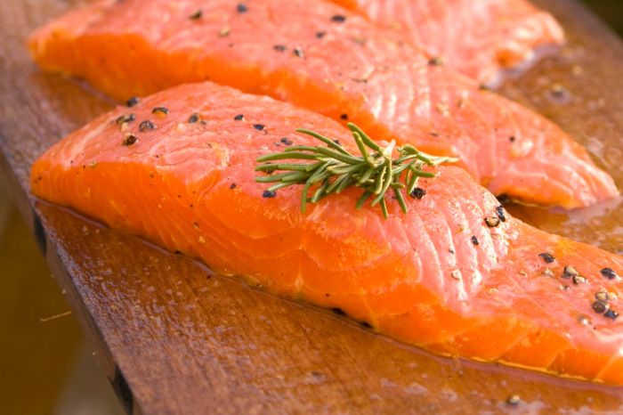 Salmon genetically modified fda fish approves question