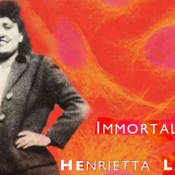 The immortal life of henrietta lacks book club discussion questions