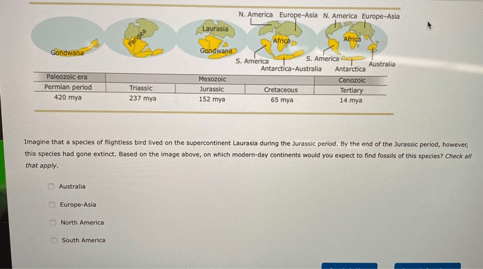 Which phrase describes organisms that formed index fossils