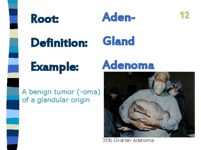 Identify and define the root in the medical term polyadenopathy.