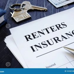 Ngpf fine print: renters insurance agreement answer key