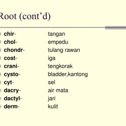 Identify and define the root in the medical term polyadenopathy.